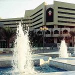 Abu-Dhabi-Municipality